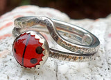 Lady Bug Queen